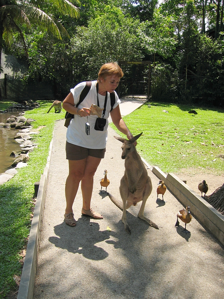 251 Wildlife Habitat Port Douglas.jpg